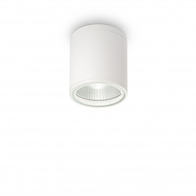 Ideal lux Gun Plafoniera da esterno con struttura in alluminio e diffusore in vetro Colore: Bianco