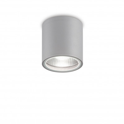 Ideal lux Gun Plafoniera da esterno con struttura in alluminio e diffusore in vetro Colore: Grigio