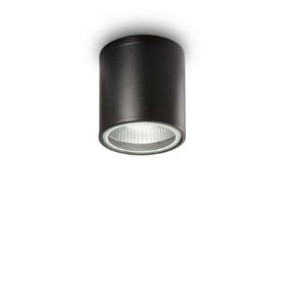 Ideal lux Gun Plafoniera da esterno con struttura in alluminio e diffusore in vetro Colore: Nero