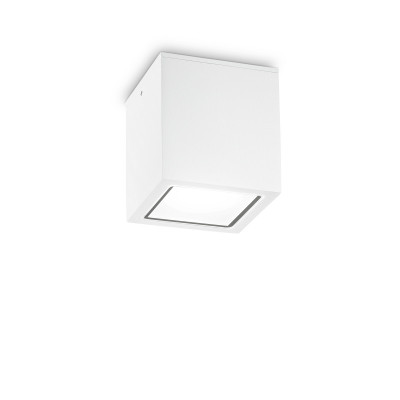 Ideal lux Techo Plafoniera da esterno grande in alluminio con diffusore in vetro Colore: Bianco