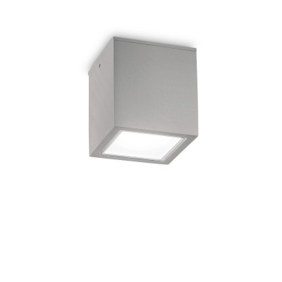 Ideal lux Techo Plafoniera da esterno grande in alluminio con diffusore in vetro Colore: Grigio