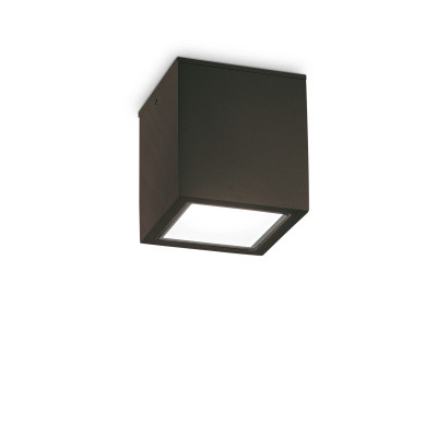 Ideal lux Techo Plafoniera da esterno grande in alluminio con diffusore in vetro Colore: Nero
