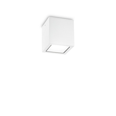 Ideal lux Techo Plafoniera da esterno in alluminio con diffusore in vetro Colore: Bianco