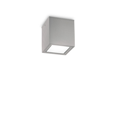 Ideal lux Techo Plafoniera da esterno in alluminio con diffusore in vetro Colore: Grigio