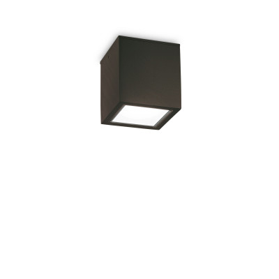 Ideal lux Techo Plafoniera da esterno in alluminio con diffusore in vetro Colore: Nero