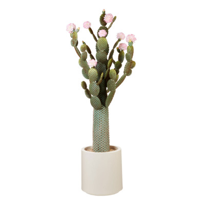 L'Oca Nera - Fashion - Pianta artificale con vaso grande cactus fiori rosa - Colore: Bianco - SKU: 1N107