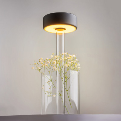 Maytoni - AI Collaboration - Lampada da tavolo in vetro dal design moderno con diffusore a LED ricaricabile - Colore: Nero - 1 Lampadina - Led Integrato - 3W - Lumen 120 - Gradi Kelvin 2200k-4000k - IP20 - SKU: MOD229TL-L3B3K1