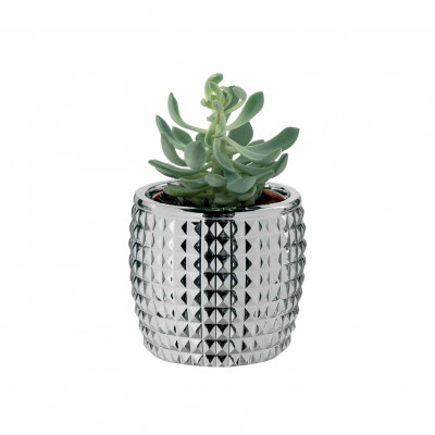 Bongelli Preziosi - Bomboniera Matrimonio - Vasetto con pianta Diamante - SKU: ME1573