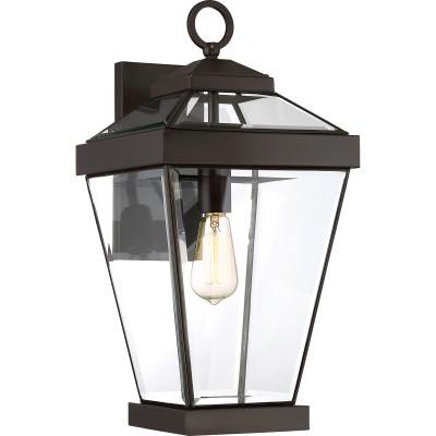 Quoizel - Ravine - Lanterna da parete grande in acciaio da esterno con diffusore in vetro a 1 luce - Colore: Bronzo - 1 Lampadina E27 60W - IP44 - SKU: QZ-RAVINE2-L