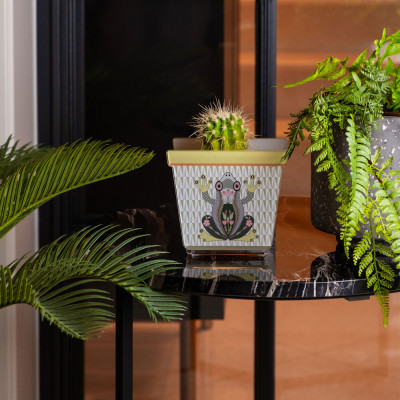 Vesta - Joy - Portavaso piccolo in plexiglass dal design moderno - SKU: 75009RA