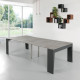 Consolle di design allungabile con struttura in acciaio e 4 ante
