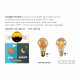 Lampadina da esterno A60 TWILIGHT SENSOR - Bulbo a filamento LED - Ø 6 cm - E27