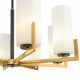 Lampadario medio con otto diffusori in vetro in stile moderno
