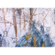 Dipinto moderno a tema natura "Nebbia incantata" 120x120