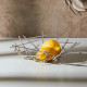 Cestino in acciaio inossidabile lucido dal design moderno ed elegante