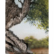 Quadro con paesaggio acrilico su tela Amore Secolare 120x80