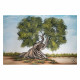 Quadro con paesaggio acrilico su tela Amore Secolare 120x80