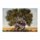 Quadro con paesaggio acrilico su tela Doppia Anima 120x80