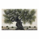 Quadro con paesaggio dipinto a mano su tela di cotone "Ulivo" 120x80