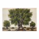 Quadro moderno a tema paesaggistico naturale Tramonti Romantici 150x80
