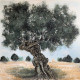 Quadro paesaggio rurale dipinto a mano Terra Mia 120x80
