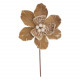 Ramo pick magnolia asteria