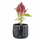 Vaso grande in marmorino con decori a goccia design elagante con piantina