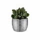 Vaso in marmorino grande dal design elegante