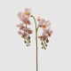 Pianta artificiale con rametto di Orchidea Olis