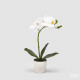 Pianta artificiale con vaso orchidea