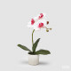 Pianta artificiale con vaso orchidea