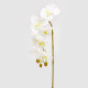 Pianta artificiale rametto di Orchidea Olisramo