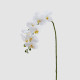 Pianta artificiale con il ramo di Orchidea