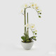 Pianta con vaso Orchidea artificiale