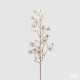 Ramo Cornus Glossy