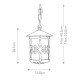 Lanterna a catena per portico dal design rustico con diffusore a 1 luce in vetro