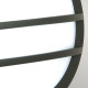 Lanterna da soffitto a 1 luce da esterno struttura in alluminio e policarbonato