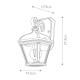 Lanterna piccola in alluminio con diffusore in vetro design rustico da esterno