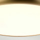 Plafoniera a LED piccola per bagno struttura in acciaio e diffusore in acrilico