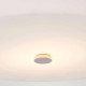 Plafoniera grande moderna per bagno in acciaio con diffusore in vetro opalino