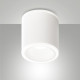 Faretto da soffitto a LED cilindrico in alluminio