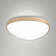 Plafoniera a LED in metallo con diffusore medio in metacrilato