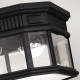 Lanterna da soffitto rustica in alluminio diffusore in vetro a 2 luci