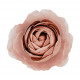 Diffusore per ambiente a forma di fiore medio "Camelia Fiorita"