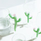 Brocca in vetro dal design moderno con Cactus