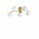 Lampada da soffitto con bracci corti in metallo e 5 diffusori in vetro