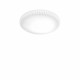 Plafoniera grande a led con montatura in metallo e diffusore in vetro rotondo