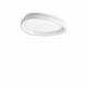 Plafoniera piccola a led con struttura in metallo e diffusore in policarbonato