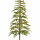 Albero di natale Abete alpino con 250 Micro LED h.240