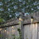Catena di Luci da esterno con led 3000k